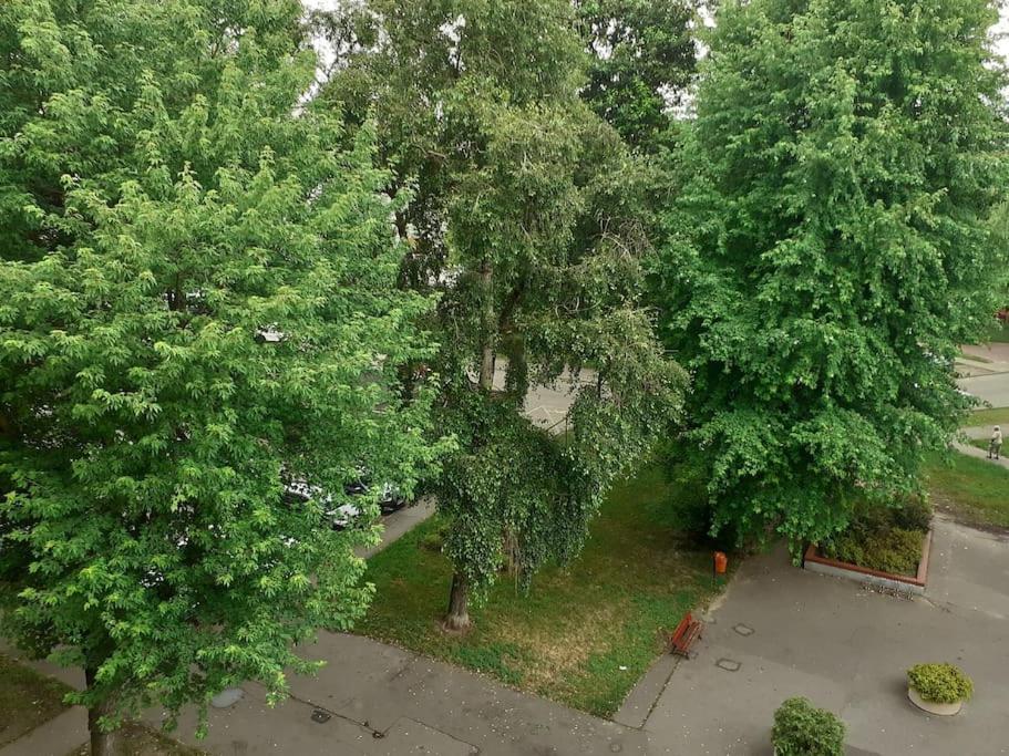 Kawalerka Stare Bielany Apartment Варшава Екстериор снимка
